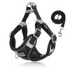 Summer Breathable Dog Harness Leash