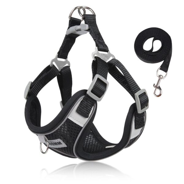 Summer Breathable Dog Harness Leash